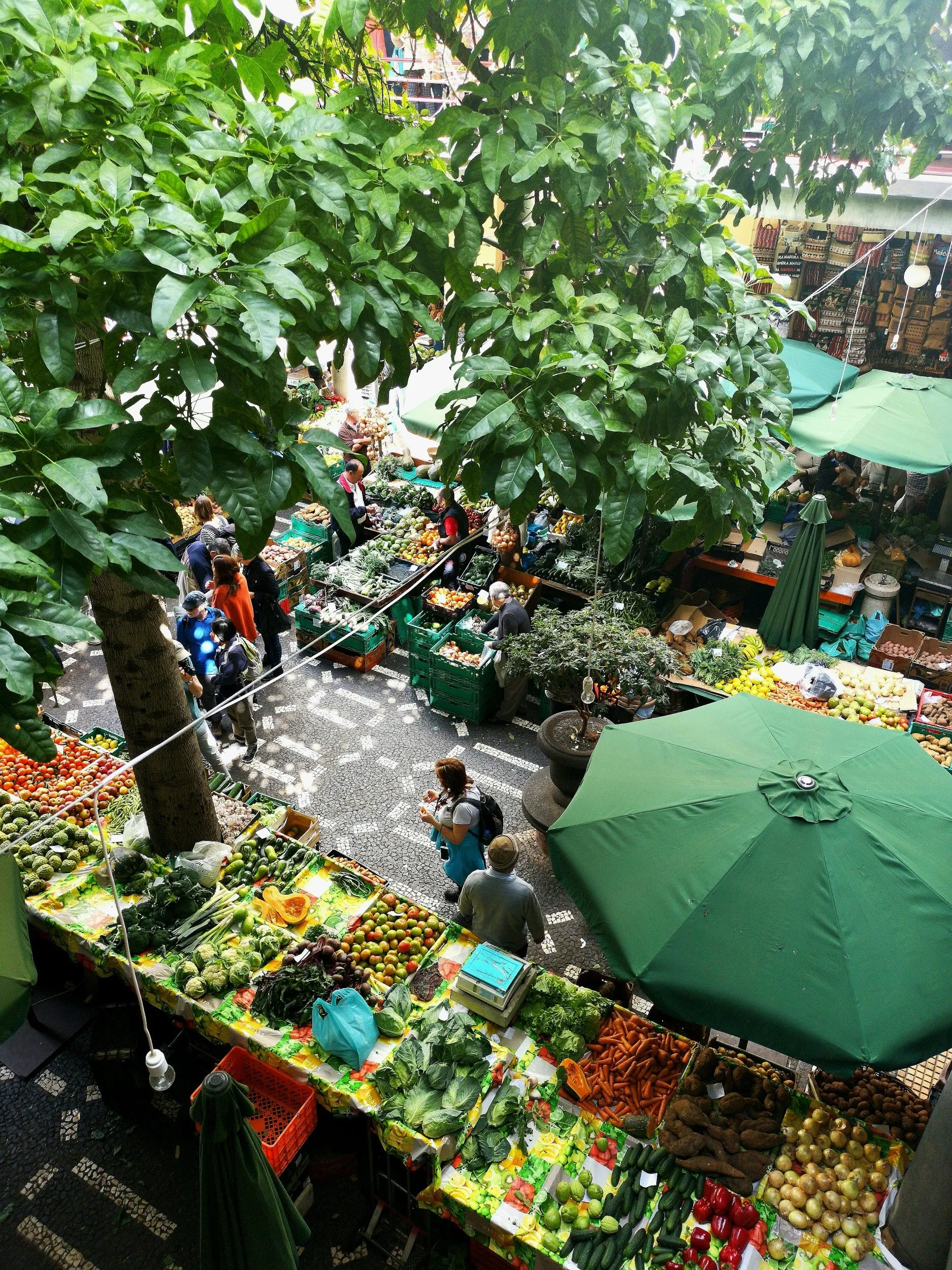 Un mercato all'aperto visto dall'alto, con banchi di frutta e verdura sotto ombrelloni verdi e alberi